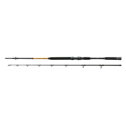 Nevis Powercat BX 3m Harcsázó Bot